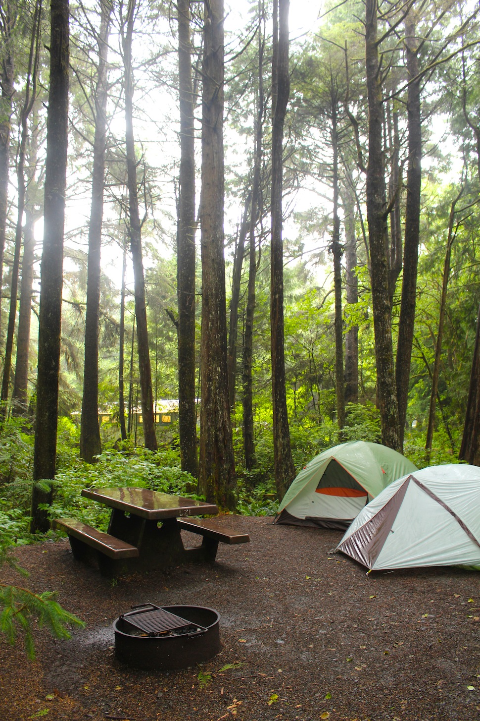 Camping In Olympic National Park: The Kalaloch Campground - Park Chasers